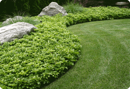 Permaloc Corporation - CleanLine Aluminum Landscape Edging